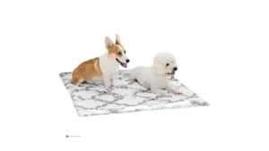 Pjyucien Pet Throw Blankets Code Tvrl…