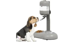 Mitocapy Pet Food Bowls Code 3s98zcie