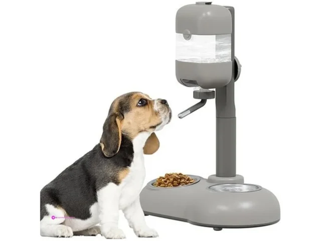 Mitocapy Pet Food Bowls Code 3s98zcie