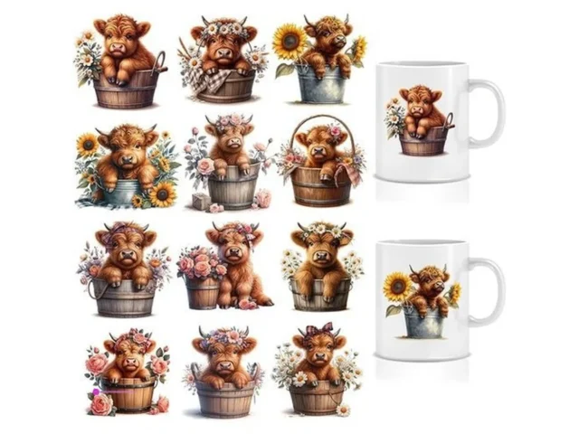 Reg Jolliance Cup Wraps Code Hivuctmx