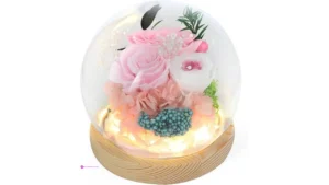 Guoboycl Preserved Roses Code Ufe9ieh…