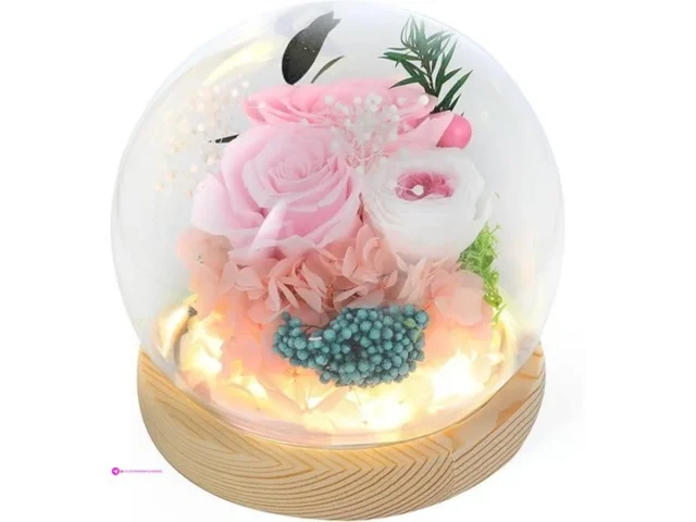 Guoboycl Preserved Roses Code Ufe9ieh…