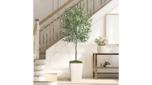 Artificial Olive Trees Clip Coupon