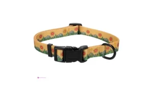 Dog Collars Code Txidshsn