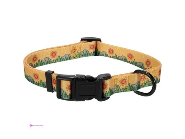 Dog Collars Code Txidshsn