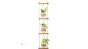 Xxxflower Glass Planters Code Z67gako…