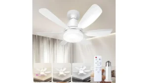 Fan Light Ceiling Fans With Lights