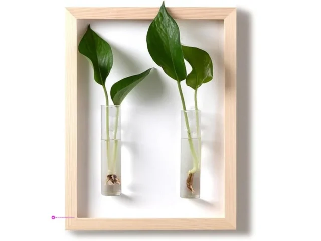 Mudeela Wall Planters Clip Coupon
