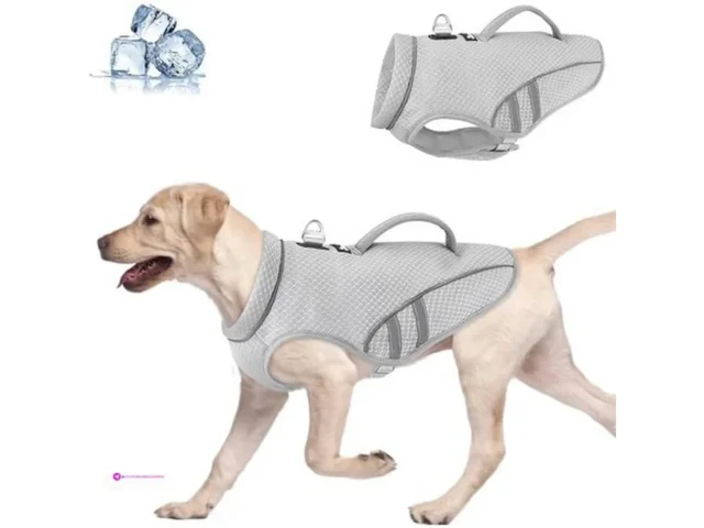 Slowton Cooling Vests Code Ezy5nl7a