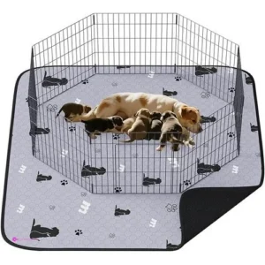 Jollymate Puppy Pads Code Nnx5p2zk