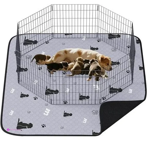 Jollymate Puppy Pads Code Nnx5p2zk