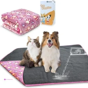 Dog Blankets Code 6v6683u3
