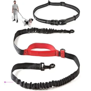 Dog Waist Leashes Code Petdreamland
