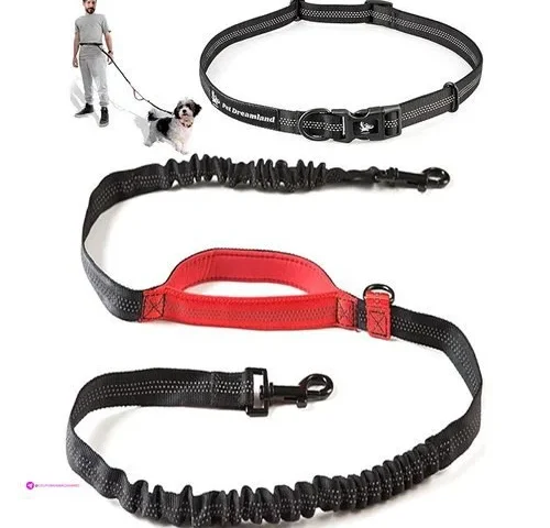 Dog Waist Leashes Code Petdreamland