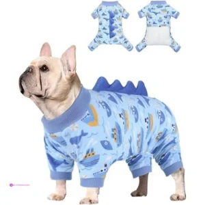 Reg Cutebone Dinosaur Pajamas Clip Co…