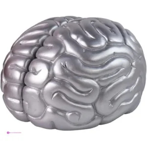 Mildahjoy Brain Bookends Code Tofopar…