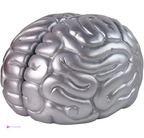 Mildahjoy Brain Bookends Code Tofopar…