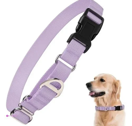Rttochfy Dog Collars Code Vd687emn