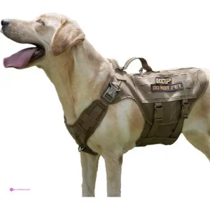 Tactical Dog Harnesses Code Wvy6bjou