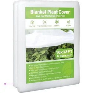 Belief Plant Covers Code Vnjt9ntb