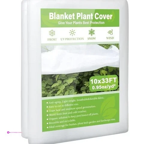 Belief Plant Covers Code Vnjt9ntb