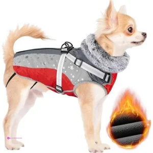 Slowton Dog Jackets Red Off Use