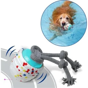 Interactive Dog Toys Off Use Code