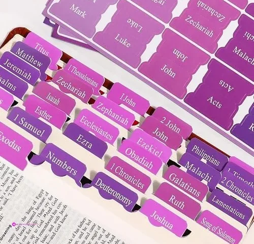 Bible Tabs Code Npjvjyxv