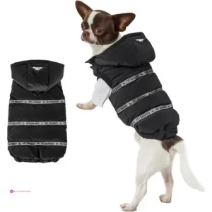 Now Petbaronet Dog Coats Clip Coupon
