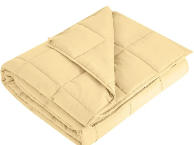 Reg Agraty Weighted Blanket X72 20lbs