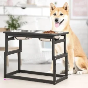 Elevated Dog Bowls Clip Coupon