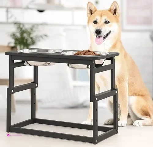 Elevated Dog Bowls Clip Coupon