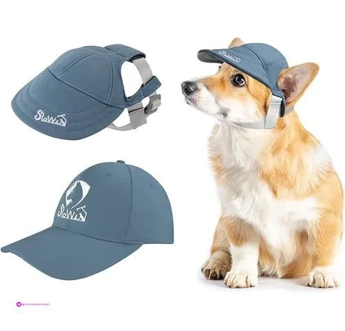 Slowton Dog Baseball Caps Code Ud6vx2…