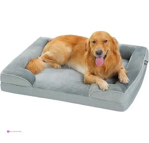 Pawz Dog Beds Clip Coupon