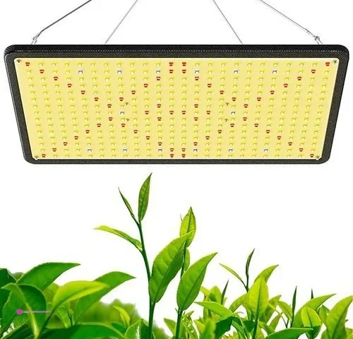 Luyimin Led Grow Lights Clip Coupon