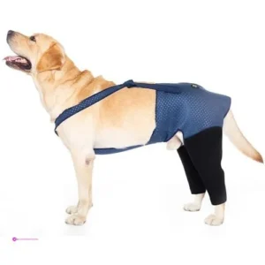 Coodeo Dog Recovery Suits Code 5jrpek…