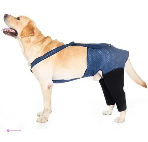 Coodeo Dog Recovery Suits Code 5jrpek…