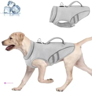 Slowton Dog Cooling Vests Code Ezy5nl…