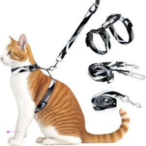 Cat Harnesses Code 4b2xb99h