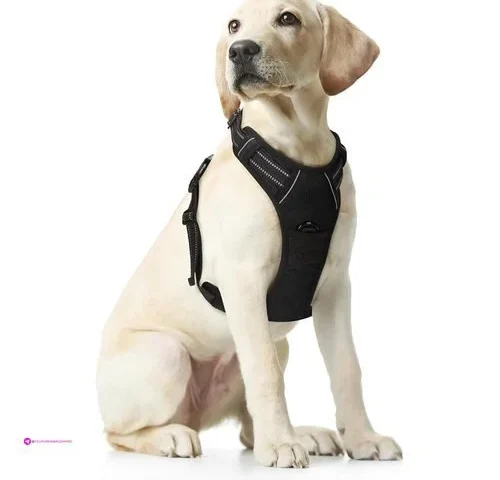 Becailyer Ceiling Lights Code 73q7gpd…