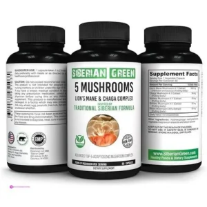 Mushrooms Lions Mane Chaga Shiitake M…