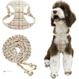 Reg Little Boss Dog Harnesses Clip