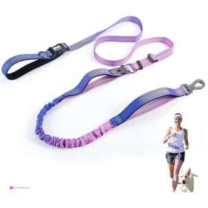 Heavy Duty Dog Leash Purple Blue