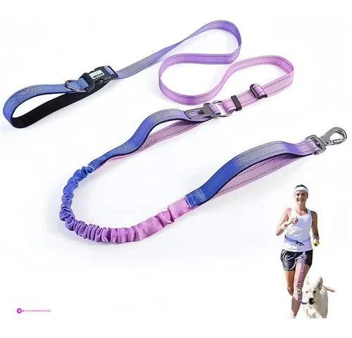Heavy Duty Dog Leash Purple Blue