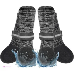Expawlorer Dog Socks Clip Coupon