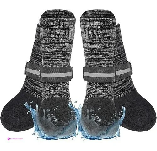 Expawlorer Dog Socks Clip Coupon