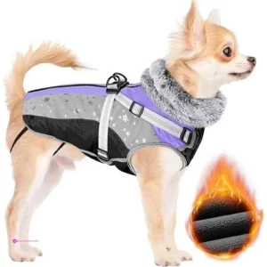 Slowton Dog Jackets Purple Code 9bkus…