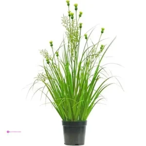 Artificial House Plants Code 6w3d252e