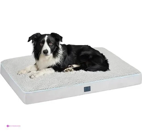 Veehoo Dog Beds Code Oraarrcr