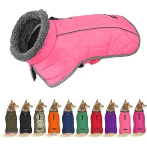 Fragralley Dog Coats Code 24v2v4bi
